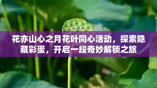花亦山心之月花叶同心活动，探索隐藏彩蛋，开启一段奇妙解锁之旅