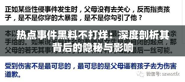 热点事件黑料不打烊：深度剖析其背后的隐秘与影响
