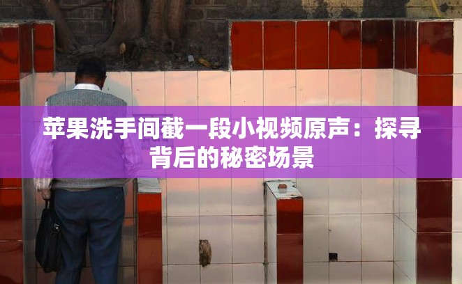 苹果洗手间截一段小视频原声：探寻背后的秘密场景