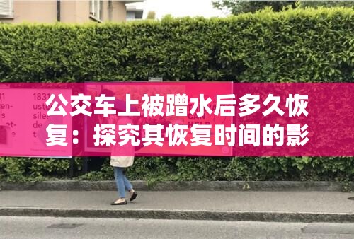 公交车上被蹭水后多久恢复：探究其恢复时间的影响因素