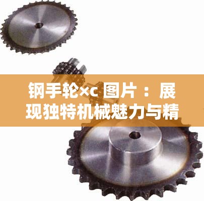 钢手轮×c 图片 ：展现独特机械魅力与精细工艺