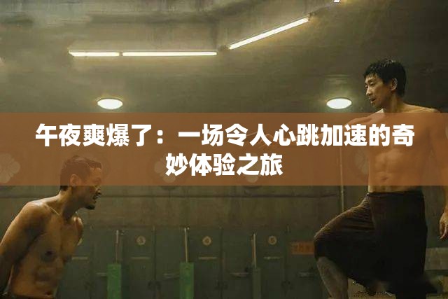 午夜爽爆了：一场令人心跳加速的奇妙体验之旅