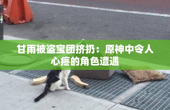 甘雨被盗宝团挤扔：原神中令人心疼的角色遭遇