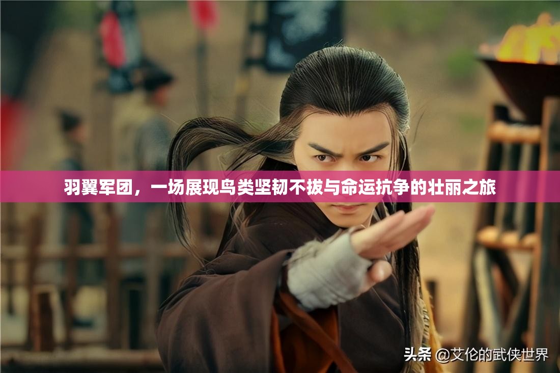 羽翼军团，一场展现鸟类坚韧不拔与命运抗争的壮丽之旅