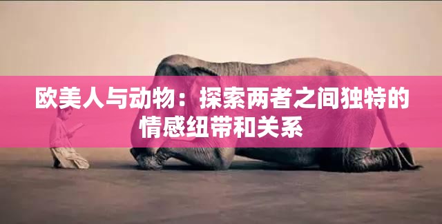 欧美人与动物：探索两者之间独特的情感纽带和关系