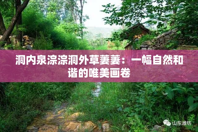 洞内泉淙淙洞外草萋萋：一幅自然和谐的唯美画卷