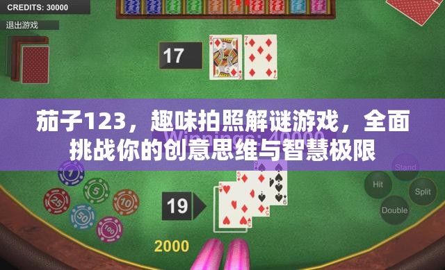 茄子123，趣味拍照解谜游戏，全面挑战你的创意思维与智慧极限
