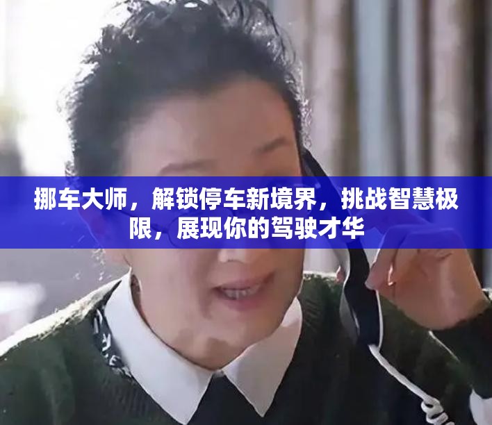 挪车大师，解锁停车新境界，挑战智慧极限，展现你的驾驶才华