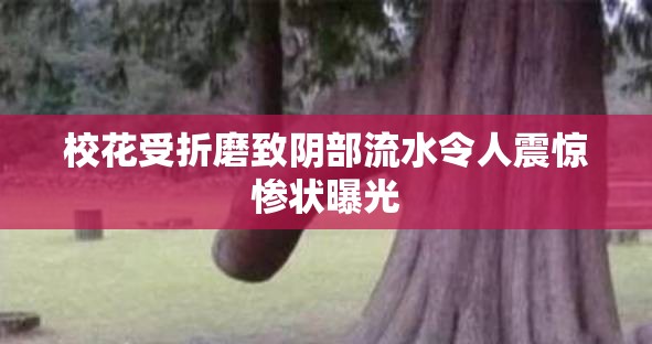 校花受折磨致阴部流水令人震惊惨状曝光
