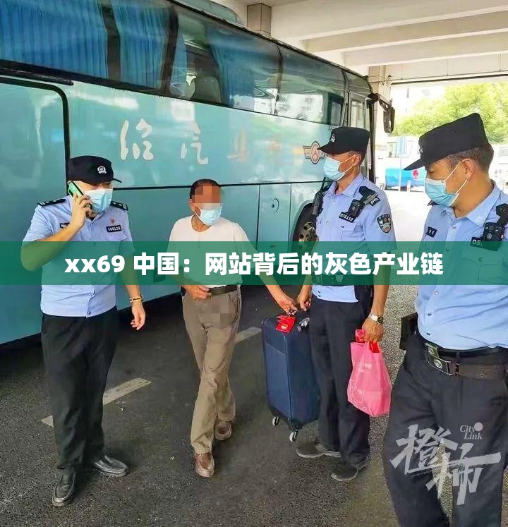 xx69 中国：网站背后的灰色产业链
