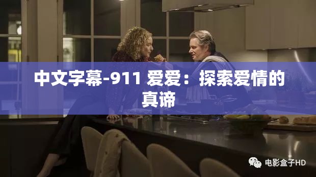 中文字幕-911 爱爱：探索爱情的真谛