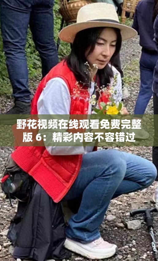 野花视频在线观看免费完整版 6：精彩内容不容错过