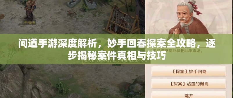 问道手游深度解析，妙手回春探案全攻略，逐步揭秘案件真相与技巧