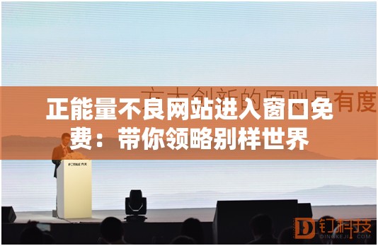 正能量不良网站进入窗口免费：带你领略别样世界