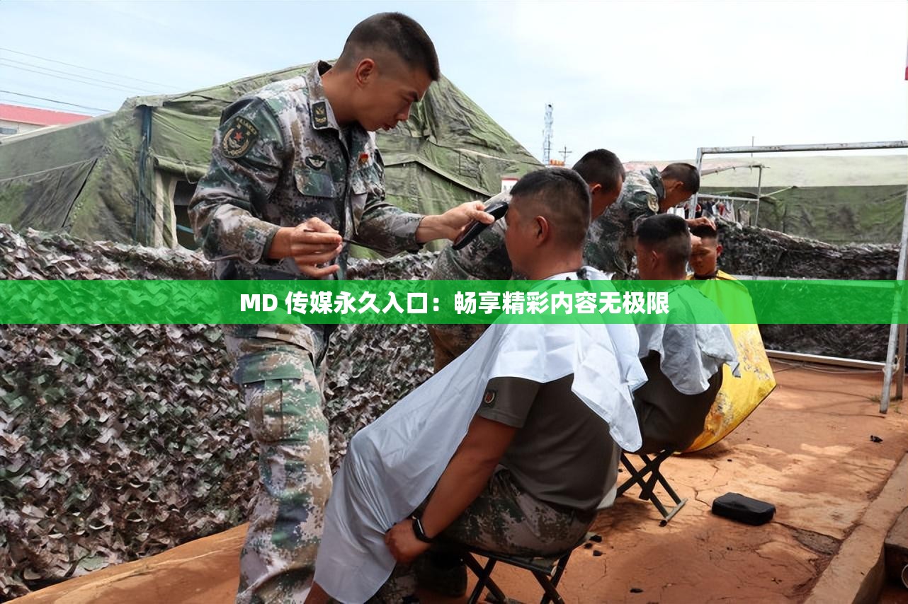 MD 传媒永久入口：畅享精彩内容无极限