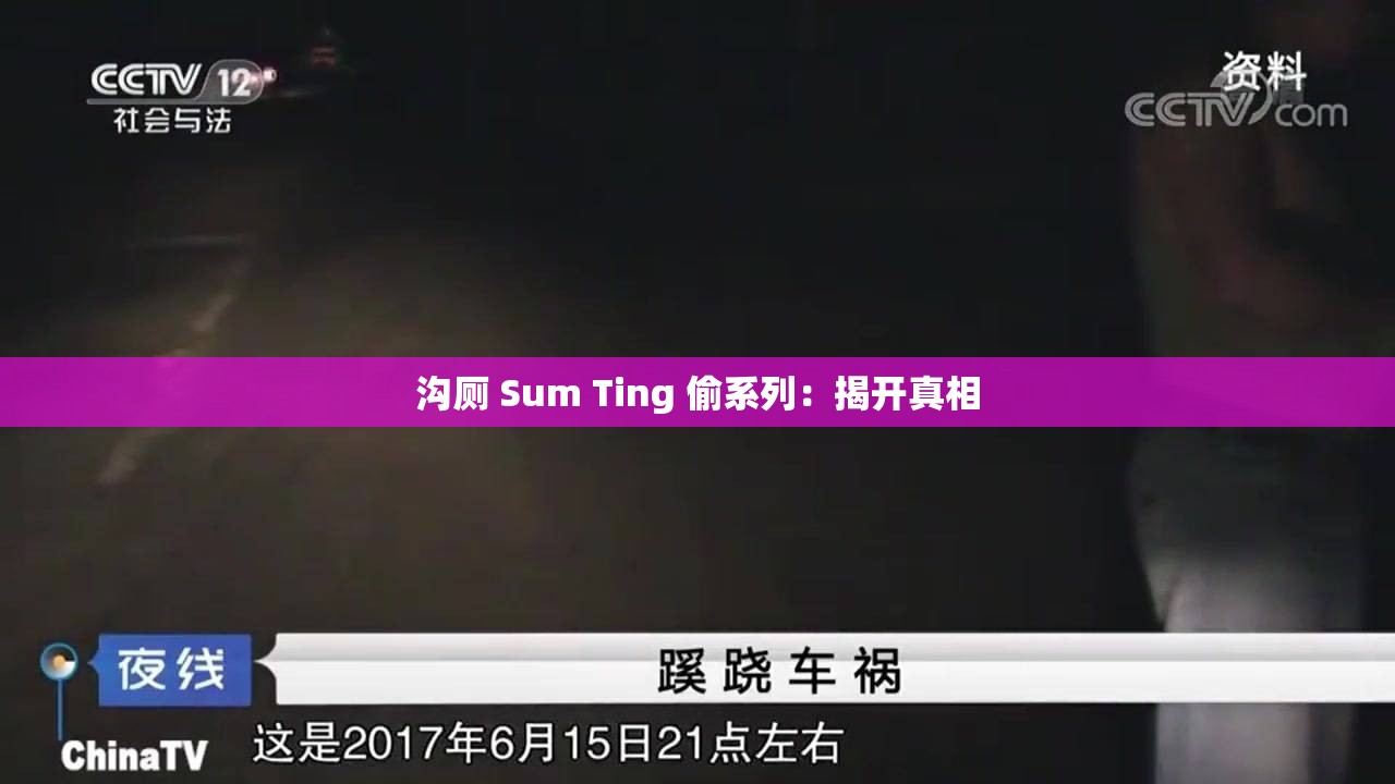 沟厕 Sum Ting 偷系列：揭开真相