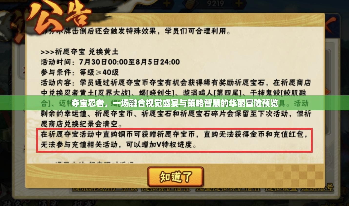 夺宝忍者，一场融合视觉盛宴与策略智慧的华丽冒险预览