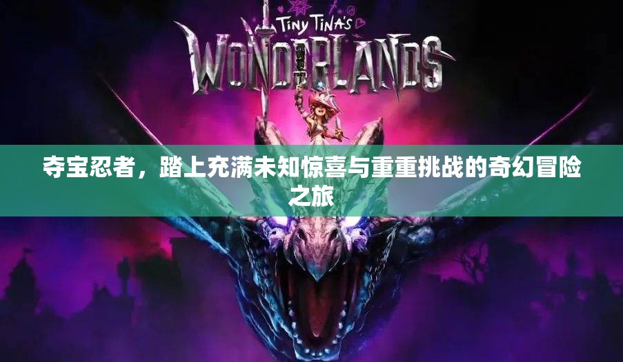 夺宝忍者，踏上充满未知惊喜与重重挑战的奇幻冒险之旅