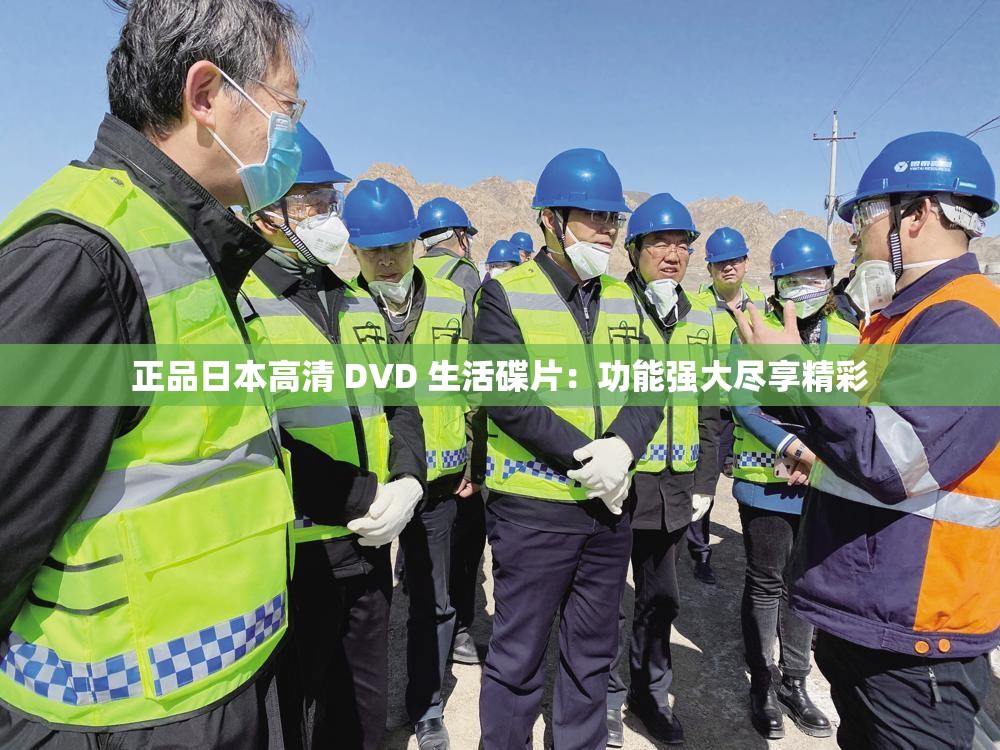 正品日本高清 DVD 生活碟片：功能强大尽享精彩