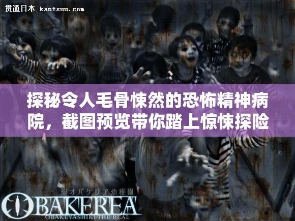 探秘令人毛骨悚然的恐怖精神病院，截图预览带你踏上惊悚探险之旅