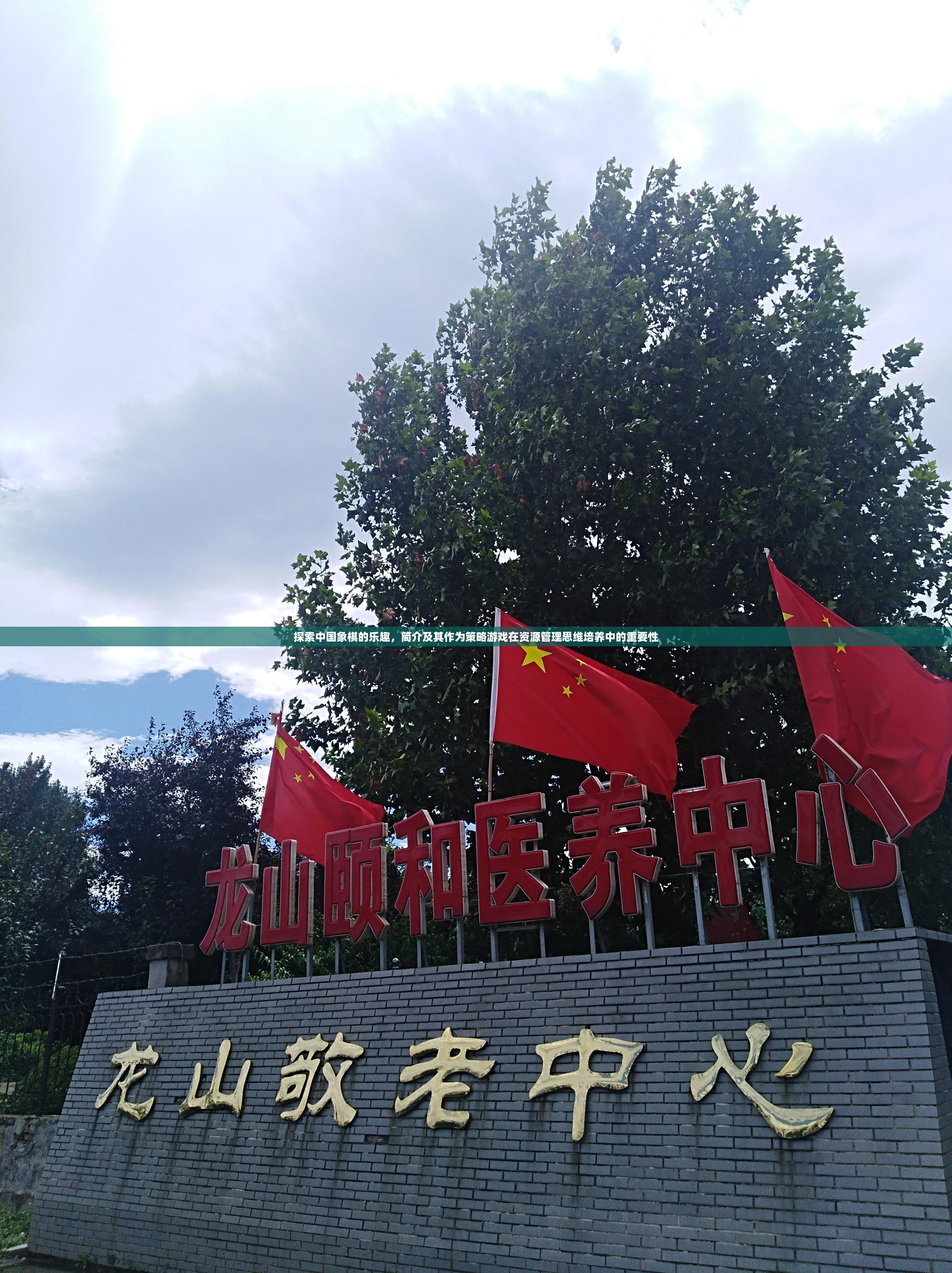 探索中国象棋的乐趣，简介及其作为策略游戏在资源管理思维培养中的重要性