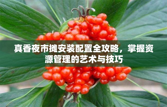 真香夜市摊安装配置全攻略，掌握资源管理的艺术与技巧