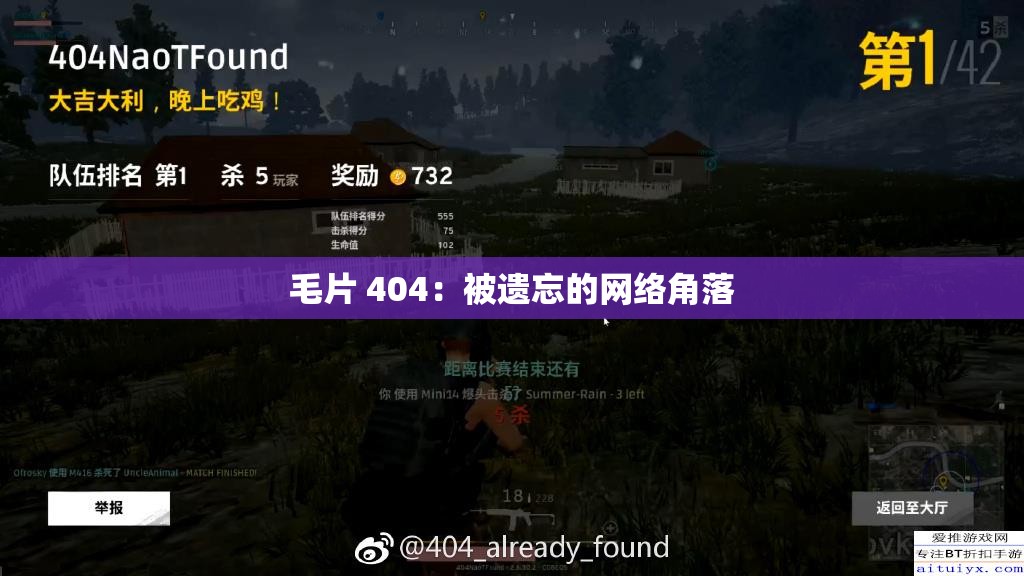 毛片 404：被遗忘的网络角落