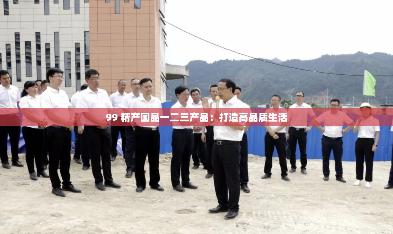 99 精产国品一二三产品：打造高品质生活