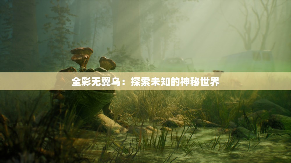 全彩无翼乌：探索未知的神秘世界