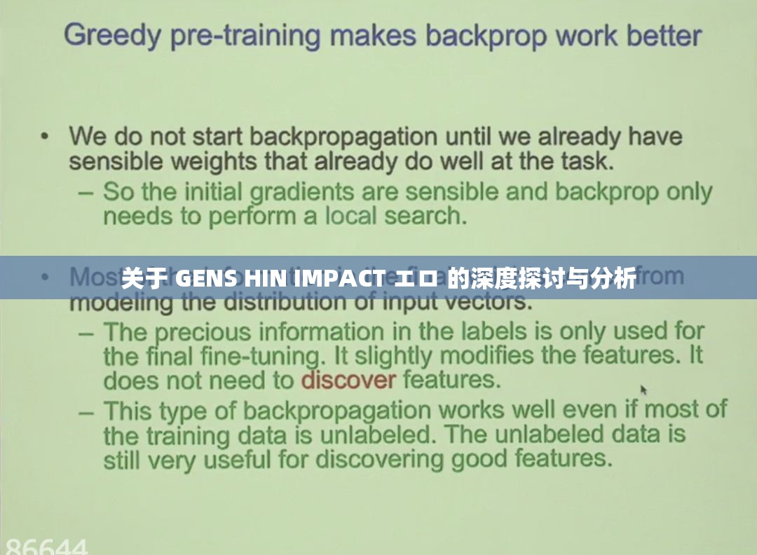 关于 GENS HIN IMPACT エロ 的深度探讨与分析