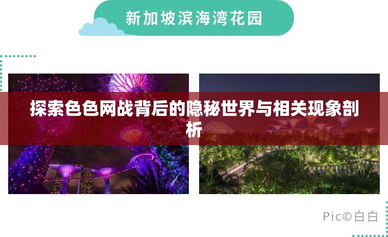 探索色色网战背后的隐秘世界与相关现象剖析