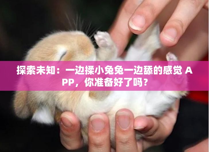探索未知：一边揉小兔兔一边舔的感觉 APP，你准备好了吗？