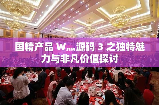国精产品 W灬源码 3 之独特魅力与非凡价值探讨