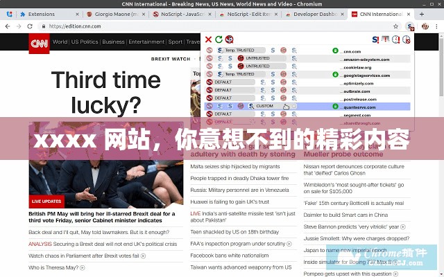 xxxx 网站，你意想不到的精彩内容