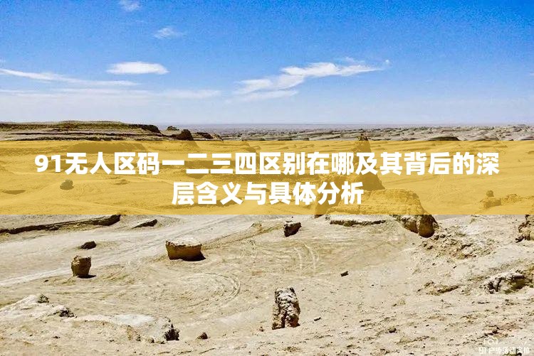 91无人区码一二三四区别在哪及其背后的深层含义与具体分析