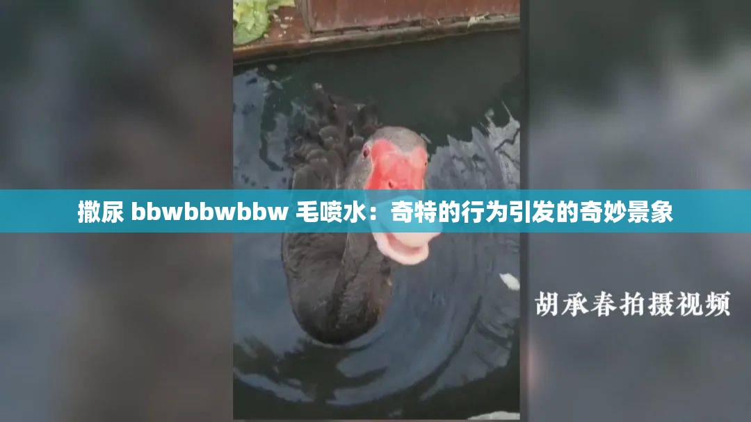 撒尿 bbwbbwbbw 毛喷水：奇特的行为引发的奇妙景象