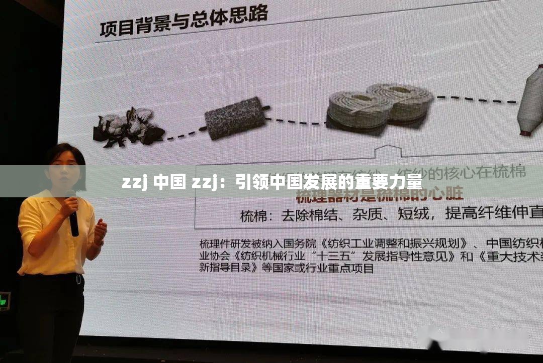 zzj 中国 zzj：引领中国发展的重要力量