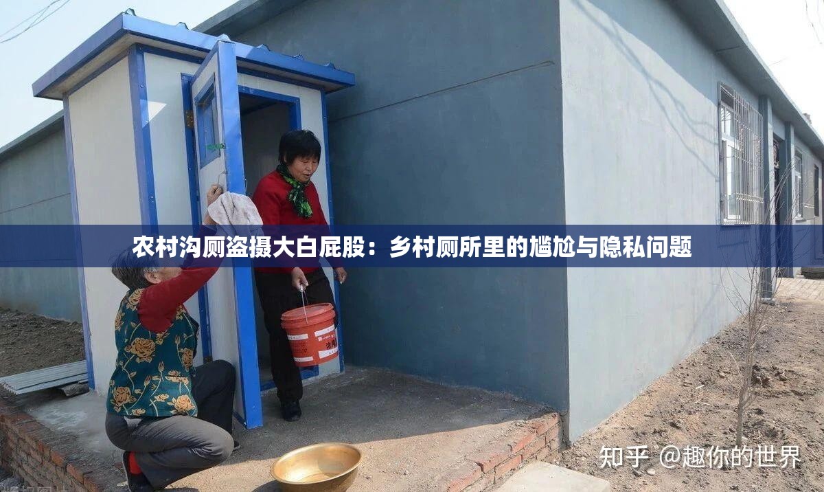农村沟厕盗摄大白屁股：乡村厕所里的尴尬与隐私问题