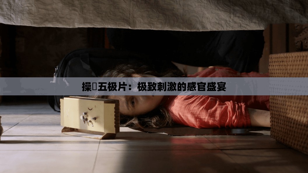操屄五极片：极致刺激的感官盛宴