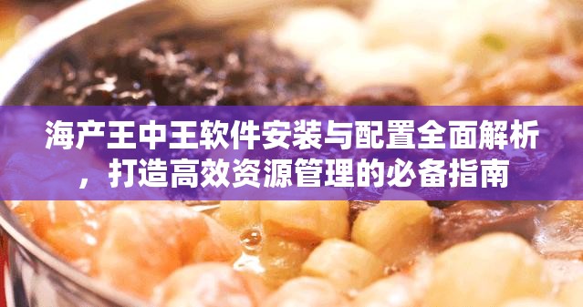 海产王中王软件安装与配置全面解析，打造高效资源管理的必备指南