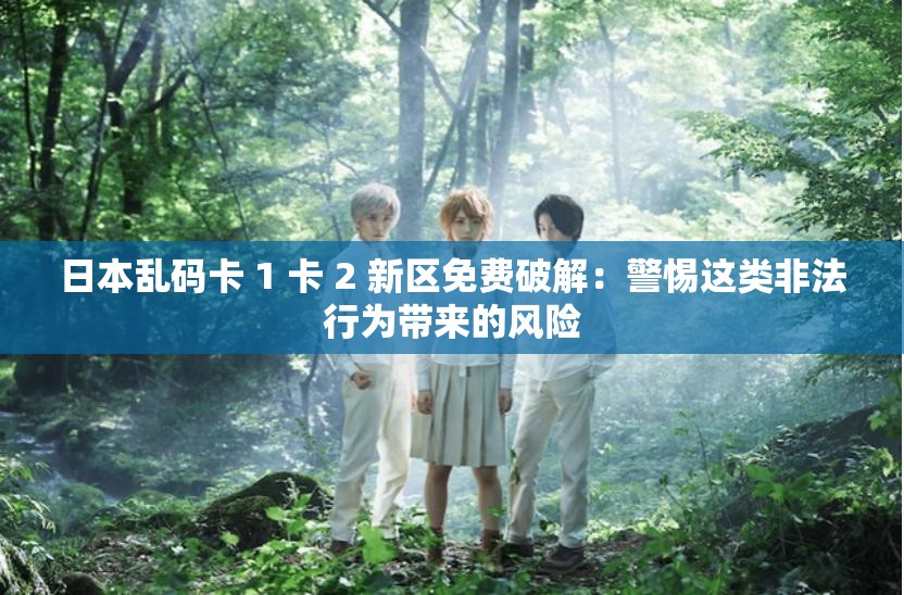 日本乱码卡 1 卡 2 新区免费破解：警惕这类非法行为带来的风险