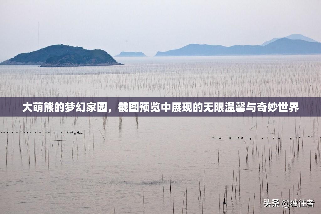 大萌熊的梦幻家园，截图预览中展现的无限温馨与奇妙世界