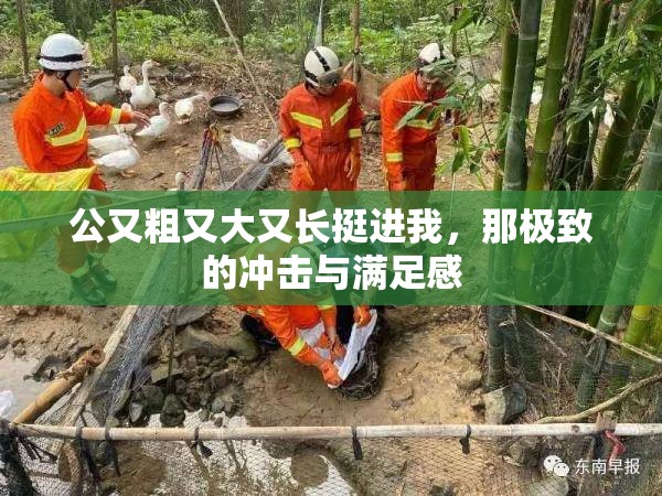 公又粗又大又长挺进我，那极致的冲击与满足感