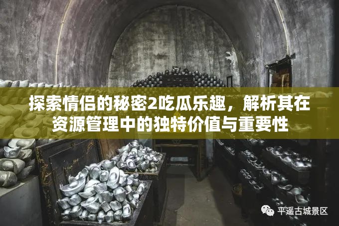 探索情侣的秘密2吃瓜乐趣，解析其在资源管理中的独特价值与重要性