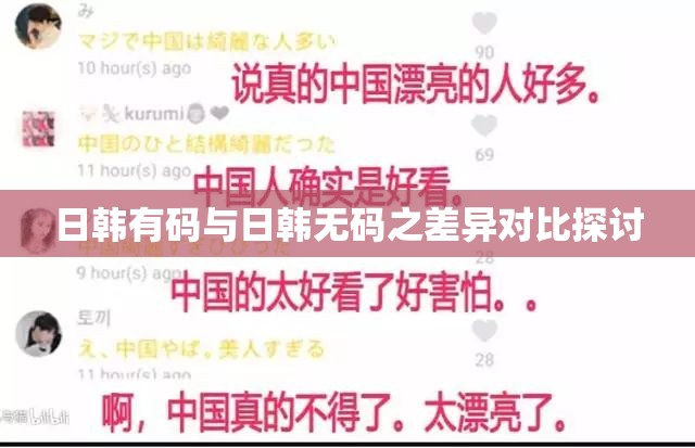 日韩有码与日韩无码之差异对比探讨