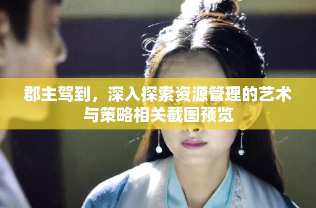 郡主驾到，深入探索资源管理的艺术与策略相关截图预览