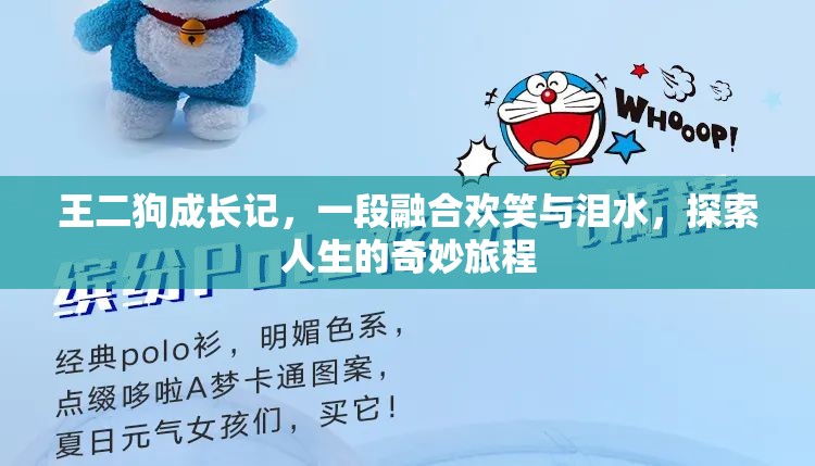 王二狗成长记，一段融合欢笑与泪水，探索人生的奇妙旅程
