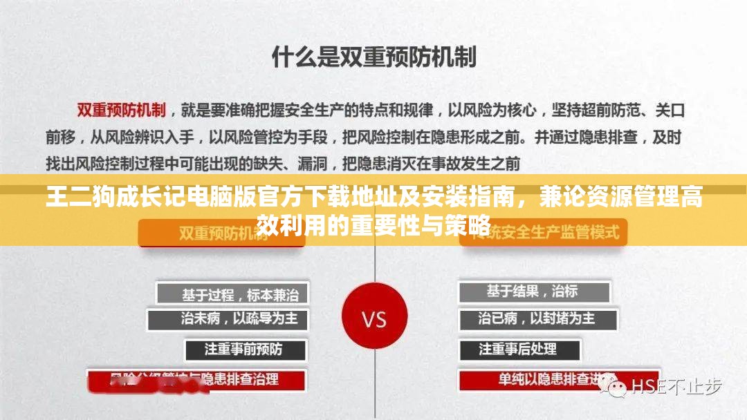 王二狗成长记电脑版官方下载地址及安装指南，兼论资源管理高效利用的重要性与策略