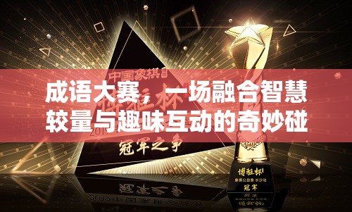 成语大赛，一场融合智慧较量与趣味互动的奇妙碰撞盛宴