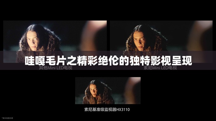 哇嘎毛片之精彩绝伦的独特影视呈现